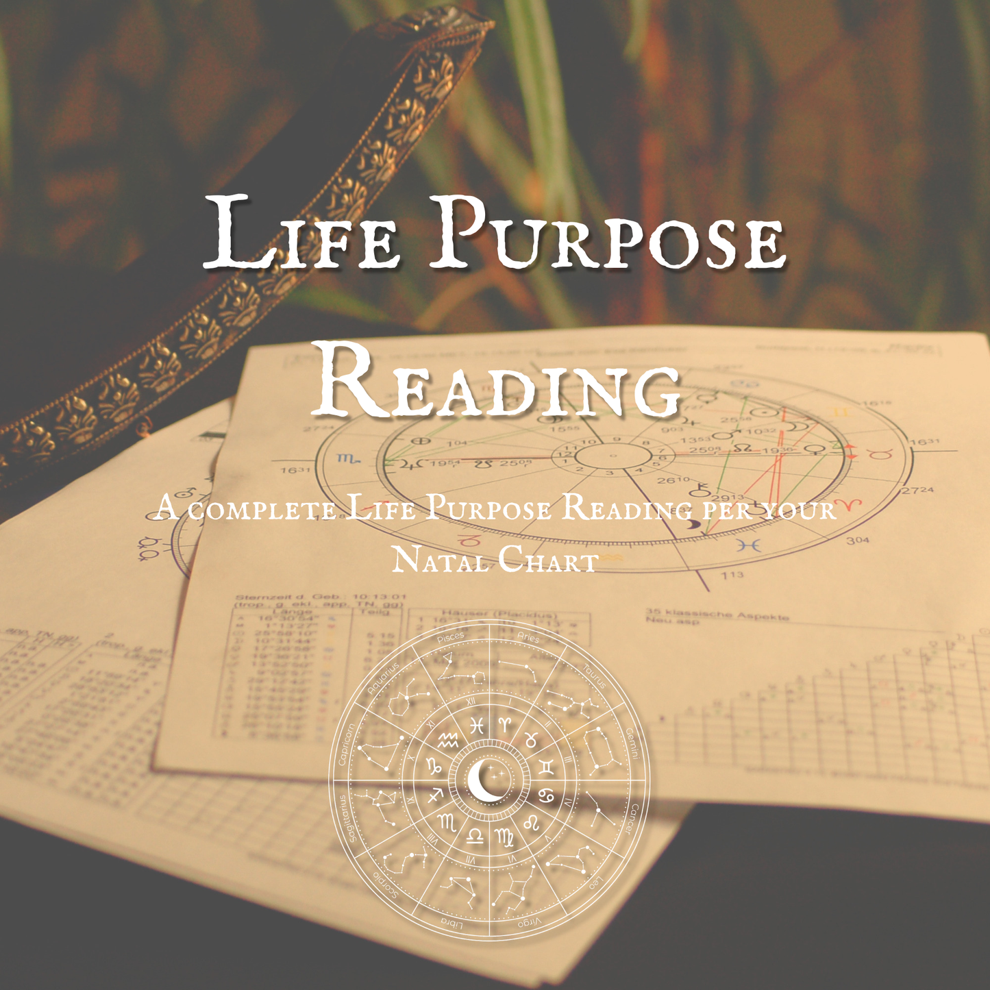 Life Purpose Reading