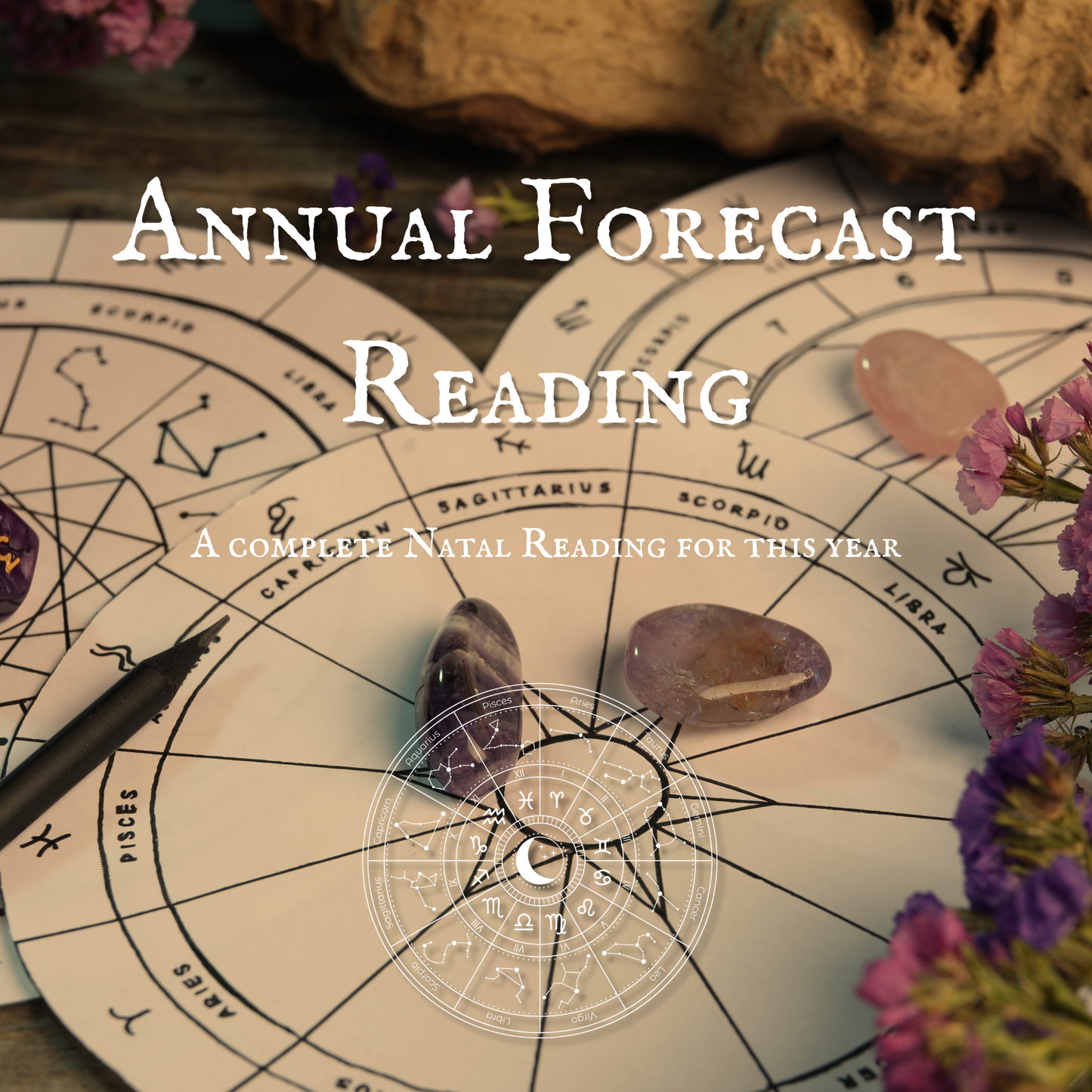 Annual Forecast Reading